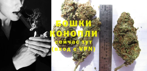 мдпв Вязьма
