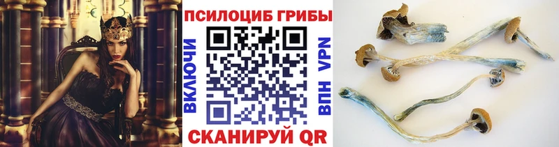 Галлюциногенные грибы мухоморы Ермолино
